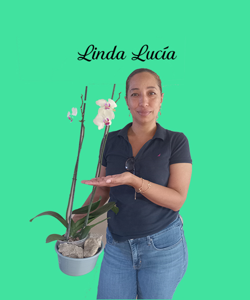 Encargada de la página